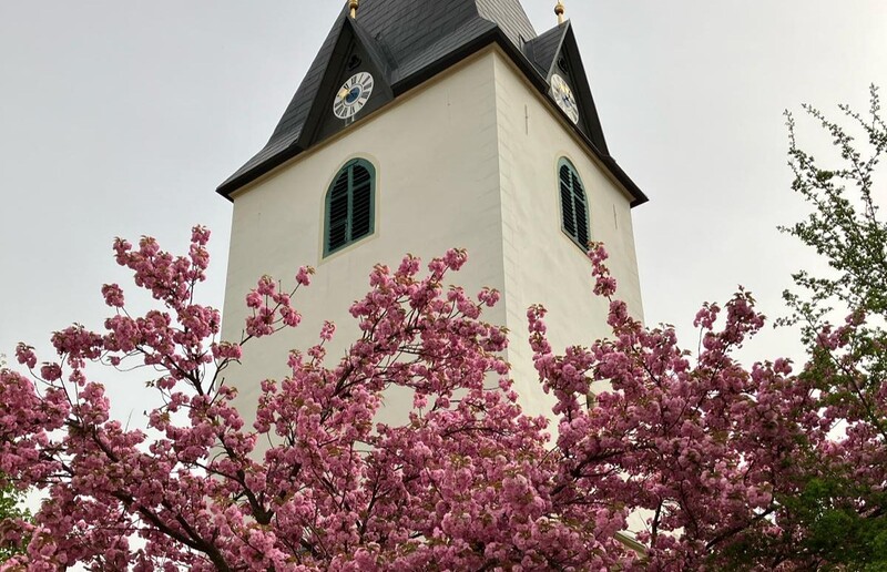 Frühling in Gamlitz / Anna Gruber Schreiner