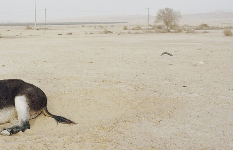 Foto: Christoph Grill, © Bildrecht, Wien, 2022