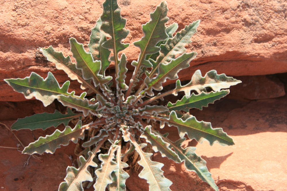 Fotorechte: Margret Herbst