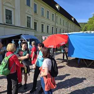 Traditionelle Wallfahrt nach Rein